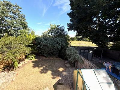 Picture 20